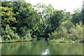 Creek to Clewer Mill Stream