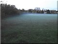 Ground mist on West Hendon Playing Fields