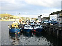 NR7220 : Boats at the Old Quay, Campbeltown by sylvia duckworth