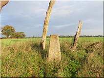 TL8685 : Ordnance Survey Triangulation Pillar situated on farmland between Roads A11 and A134 by Peter Wood