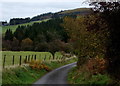 Lane across the Gwenwst valley