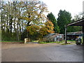 Autumn colours by a cattle grid