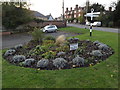 Scole & District Gardening Club Display