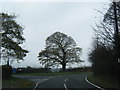 Lane junction at Groes Faen Bach