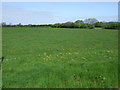 Farmland off Bristol Road (A38)