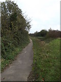 TM1578 : Footpath to the A143 Bungay Road by Geographer