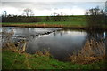 Ford and Stepping Stones at Nappa