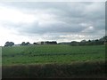 Potato fields alongside Newcastle Road 