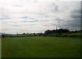 Pasture land west of the Old Road, Dundrum