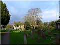 St Andrew, Cobham: churchyard (h)