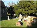 The church of St. Alban the Martyr, Coopersale - churchyard