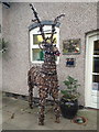 Betley: Christmas reindeer outside the vets