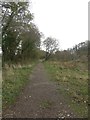 NY0330 : Footpath alongside the River Eden by Graham Robson