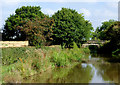 Macclesfield Canal north of Ackers Crossing, Cheshire