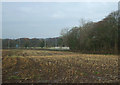 Stubble field near Stable Wood