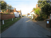 TF8444 : Road to Overy Creek and Overy Marsh at Burnham Overy Staithe by Peter Wood