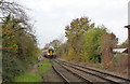 Train approaching Heckington