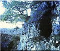 SO1915 : Entrance to Eglwys Faen cave by Clint Mann