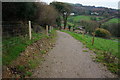 On the new Bridleway