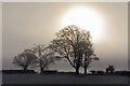 NU1922 : Winter sun by David Chatterton