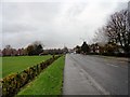 Looking west along Abbey Road