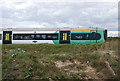 TQ6906 : Train, East Coastway Line by N Chadwick