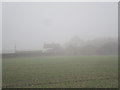 Painsthorpe Wold Farm in the mist