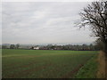 View towards Octon Road, Thwing