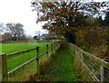 Footpath towards Chobham