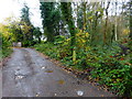 Footpath junction west of Stonehill Road