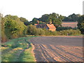 Farmland north of Steward