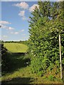 Start of footpath to Bottom Coppice