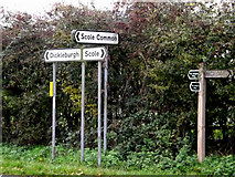 TM1579 : Roadsigns on Norwich Road by Geographer