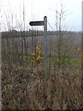 TM1579 : Bridleway sign on Scole Common Road by Geographer