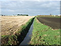 Drain off Gorsey Lane