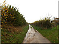 Low Road & bridleway