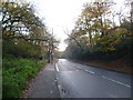 Looking up Bostall Hill