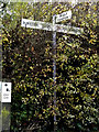 TM1480 : Roadsign on Burston Road by Geographer