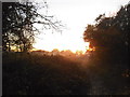 Sunset over Stokes Field