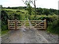 SO1619 : Gate and side gate across a track, Aberhowy by Jaggery