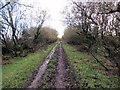 Llwybr ceffyl Pitton Cross  / Pilton Cross bridleway