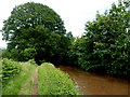 Track alongside the canal east of Aberhowy Bridge