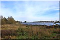 SU4493 : Solar Panels at Willowbrook Farm by Des Blenkinsopp