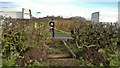 Constructing a new stile on Mutton Lane