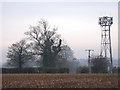 SK3922 : Bare trees and phone mast by Ian Calderwood