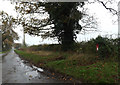 TM1480 : Burston Road & The Rectory Postbox by Geographer