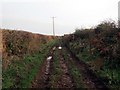 SS4586 : Llwybr Moor Corner Path by Alan Richards