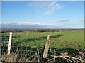 Farmland east of Tyddyn Whisgin