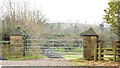 Gate and gateposts near Comber (November 2014)