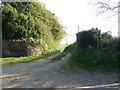 Track to Worthy, Aunemouth, near Bantham